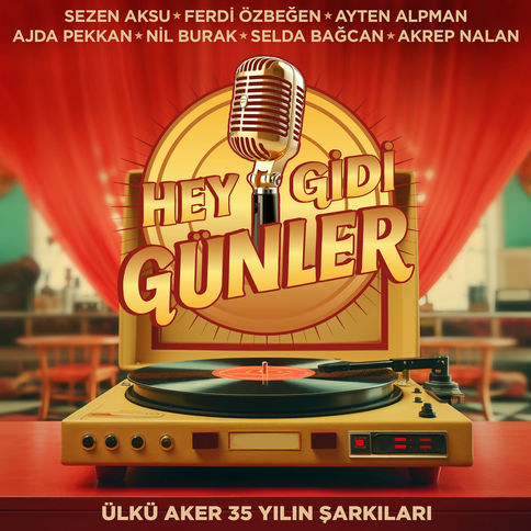 Ülkü Aker - 35 Yılın Şarkıları (Hey Gidi Günler) - Çeşitli Sanatçılar plak