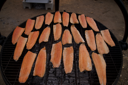 Screenshot 2025-11-22 at 8.28.48 AM