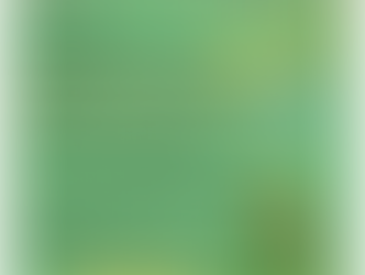 聖誕節特別安排 - 升中及育兒講座