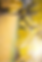Afbeelding1.png12.png