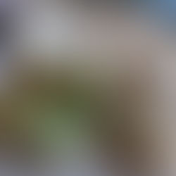 Lifestyle Paradigm: "Heal-th" 