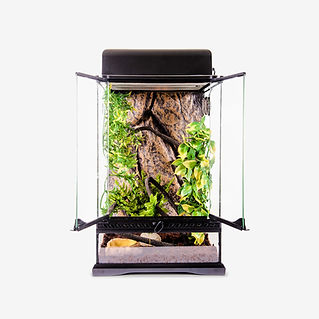 Reptil Terrarium