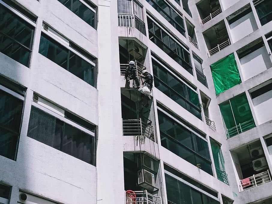 WhatsApp Image 2021-01-29 at 3.14.26 AM.