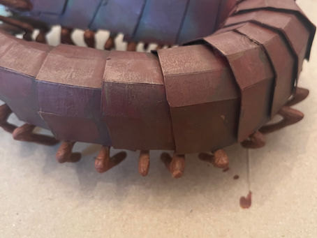 Summer project update (August)