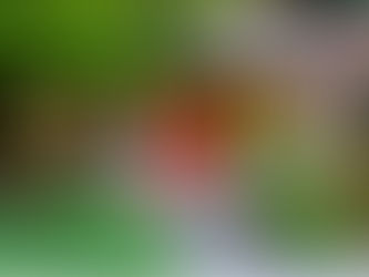 🌲 Estate Living in Gig Harbor: Discover 11003 68th Ave NW