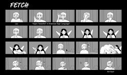 Fetch_Boards_05