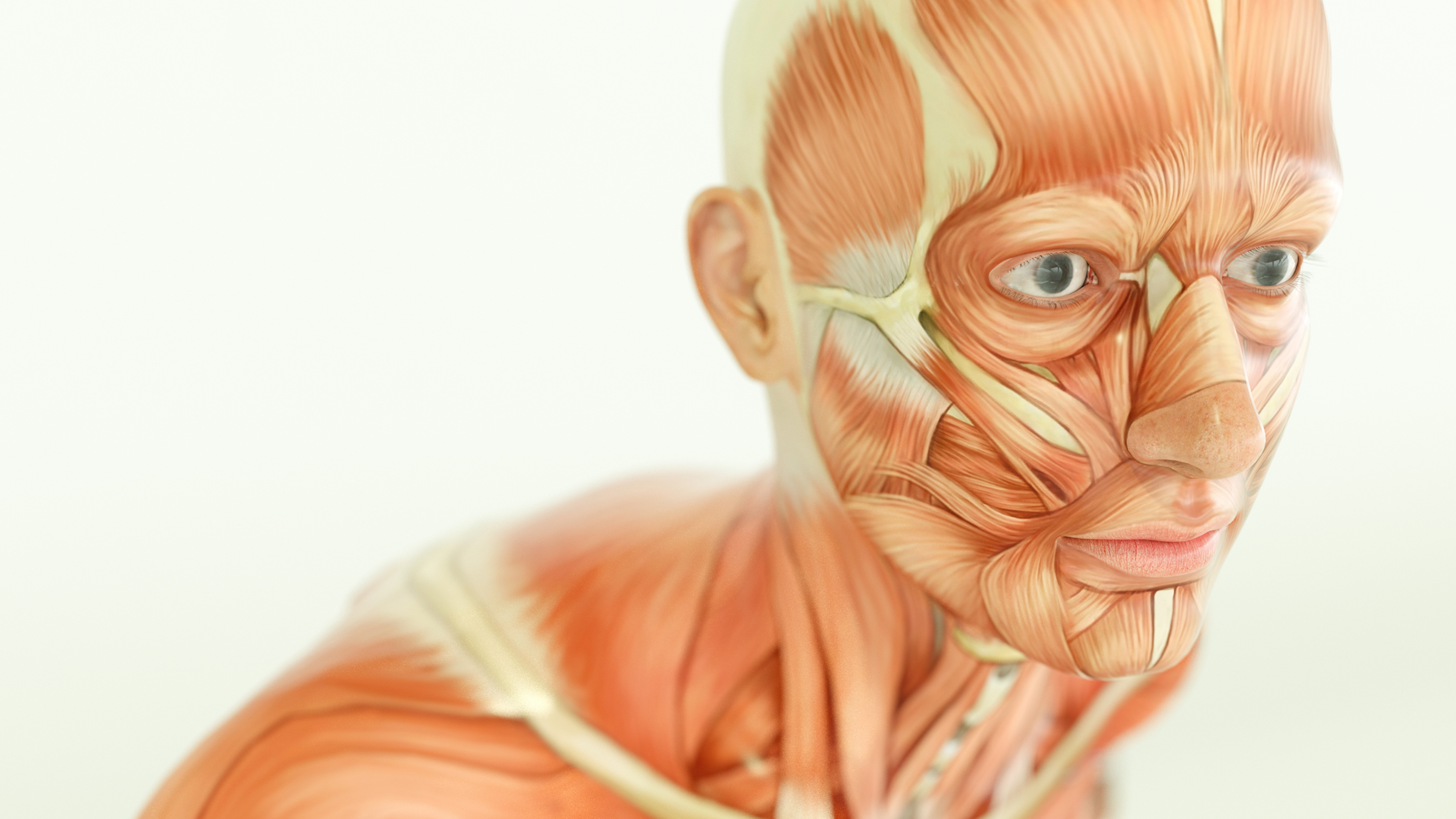 Full Anatomy & Physiology Online Course