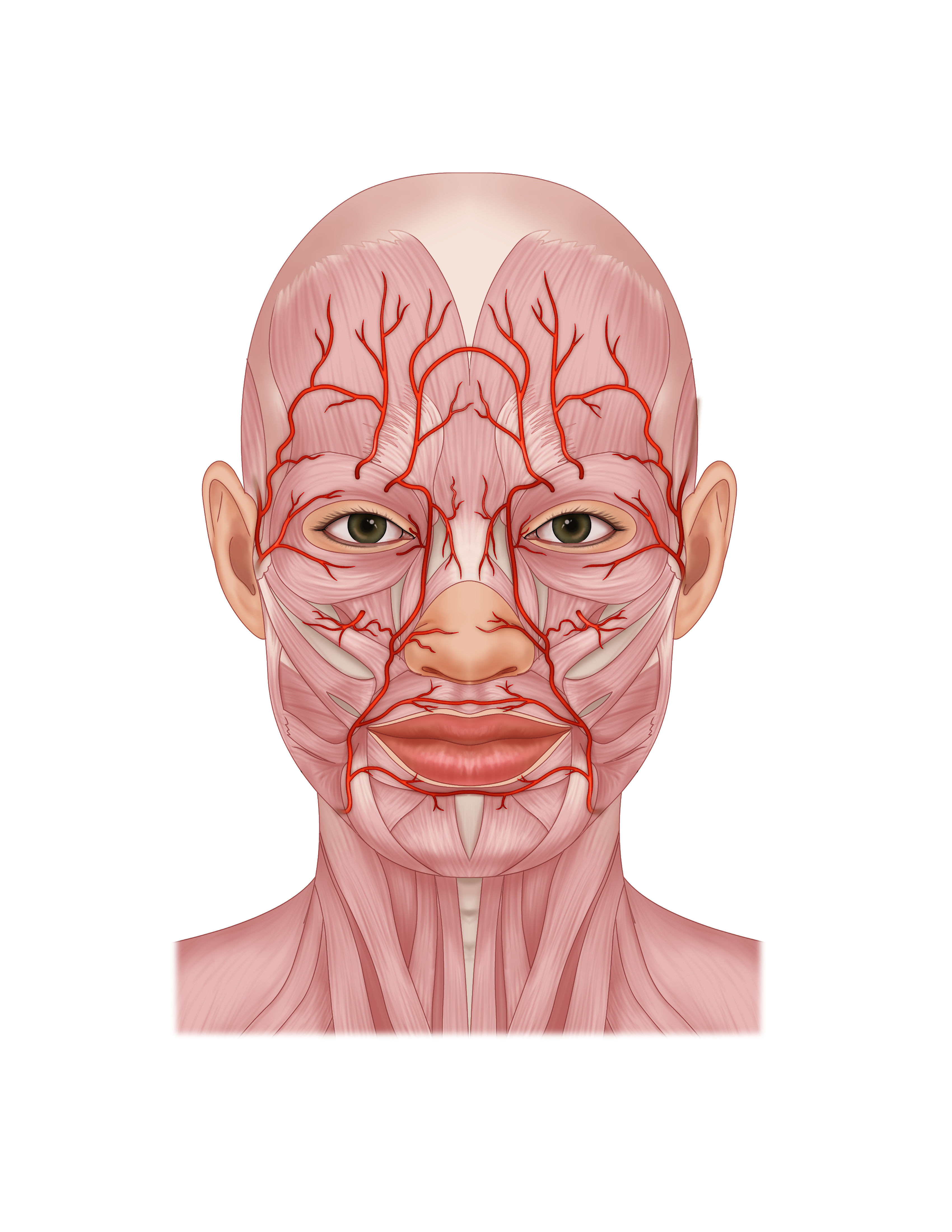 Dermal Filler Complications Online Course