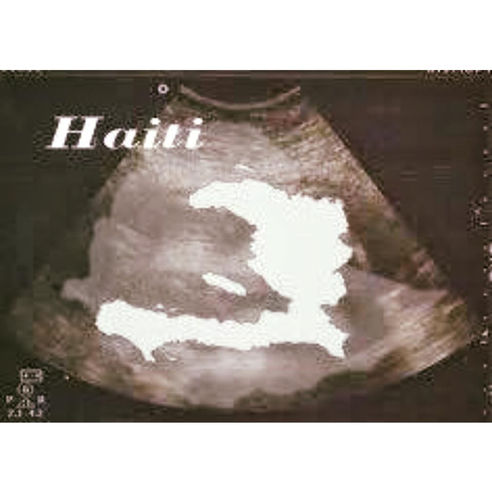 Paper Pregnant
