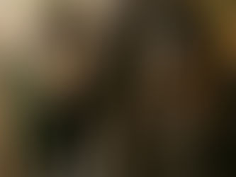 Pays Baltes - Le froid de la Baltique