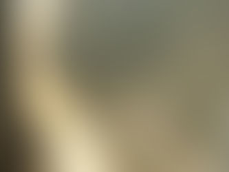 Botswana & Zimbabwe - La rentrée au Zimbabwe