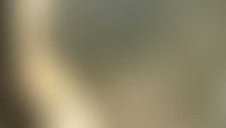 Botswana & Zimbabwe - La rentrée au Zimbabwe