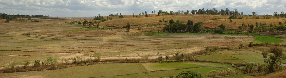 Hautes terres - Madagascar