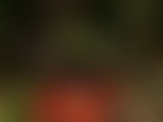 # 7. S'enfoncer dans la jungle