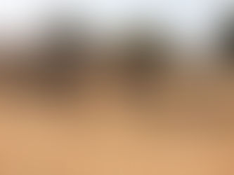 Côte d'Ivoire - La côte sans ivoire