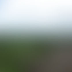 Los Piramides - Mexique 