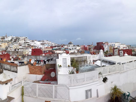 Maroc - Le pays des chats et du kif !