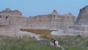 Badlands - Dakota du Sud