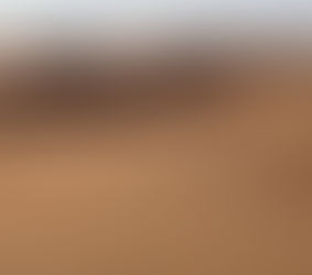 Wahiba Sands - Sultanat d'Oman