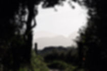 IMG_7363.jpeg