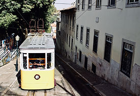 IMG_2987.jpeg