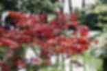 IMG_7479.jpeg