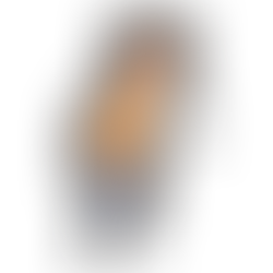 2/20 疲れをふきとばそう!疲労回復セミナー Zoomオンラインセミナー(終了しました)