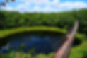 puente colgante + cenote.jpeg