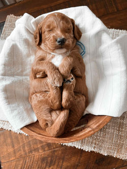 c6966a91-8bf4-4a37-b65a-df7a2d627501