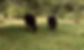 295057623_1264757757395809_2799563854938987534_n (1).jpg