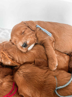 a077fc08-6469-4a46-b816-38283ef2695c