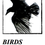 Thumbnail: 'Birds' by Neil Campbell (34 pages)