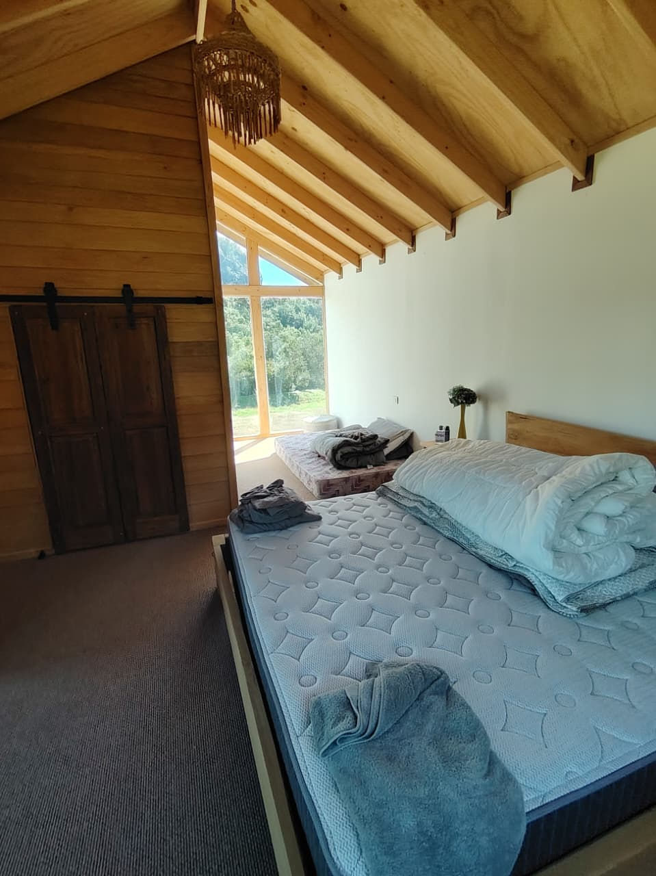 WhatsApp Image 2026-02-01 at 6.56.42 PM.jpeg