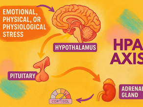 Is Your Stress Response System Failing You? Explore HPA-Axis Dysfunction