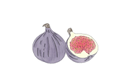 Feigen.png