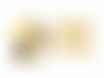 CON LOS OJOS FIJOS EN JESÚS