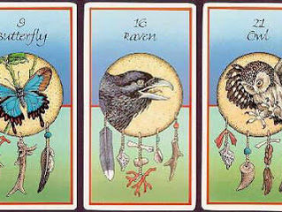 O poder dos Animais e dos Cristais