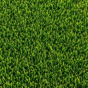 Captura de pantalla 2026-08-27 a la(s) 9.48.54 p.m..png