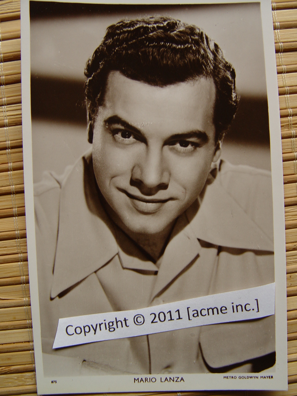 http://www.acme-inc.co.uk/websitepix/DSC050208.JPG