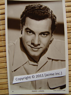 http://www.acme-inc.co.uk/websitepix/DSC050208.JPG