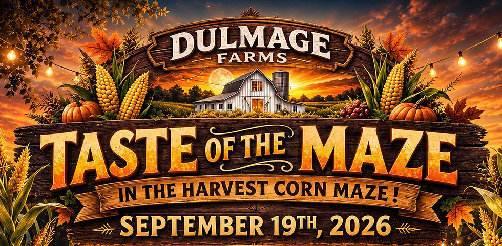 Taste of the Maze