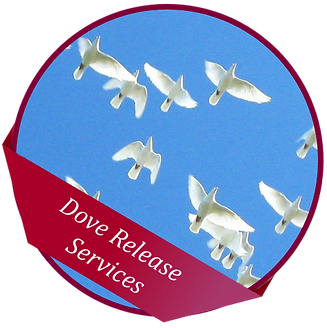 funeral dove release
