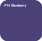 P14 Blueberry