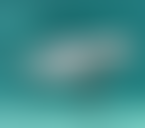 [기사] 경인일보_‘자원’ 아닌 생물로서 함께 [상괭이, 함께 바다를 누비다·(3-2)]