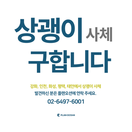 상괭이 사체 구합니다.