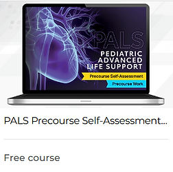 PALS PRECOURSEWORK.png