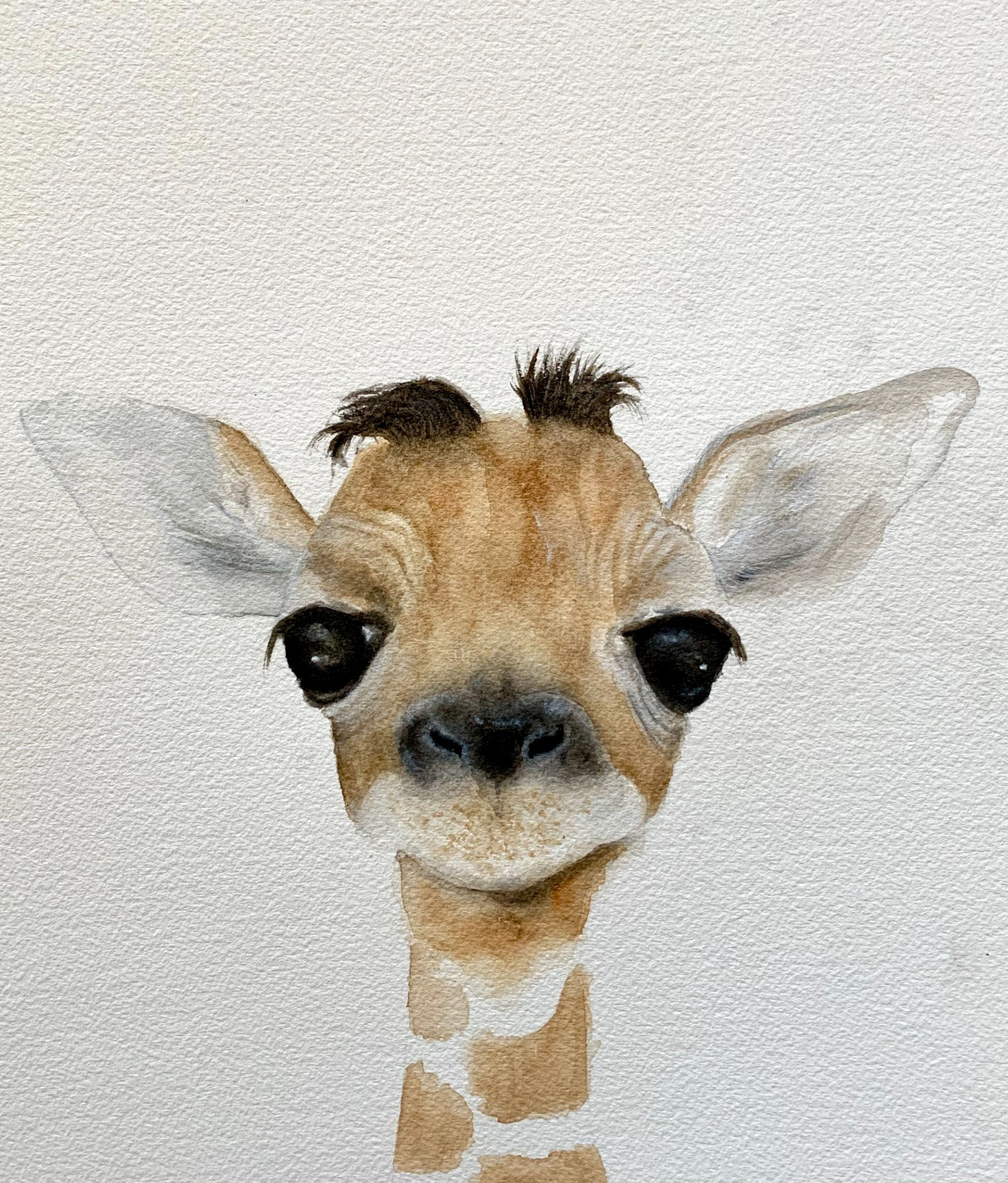 'Baby Giraffe' | 8x10"Giclée Fine Art Prints | Wall Art