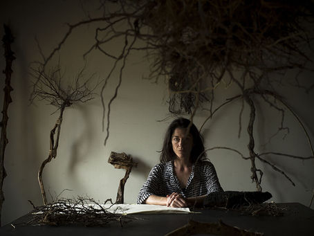 Interview with Ana Matey