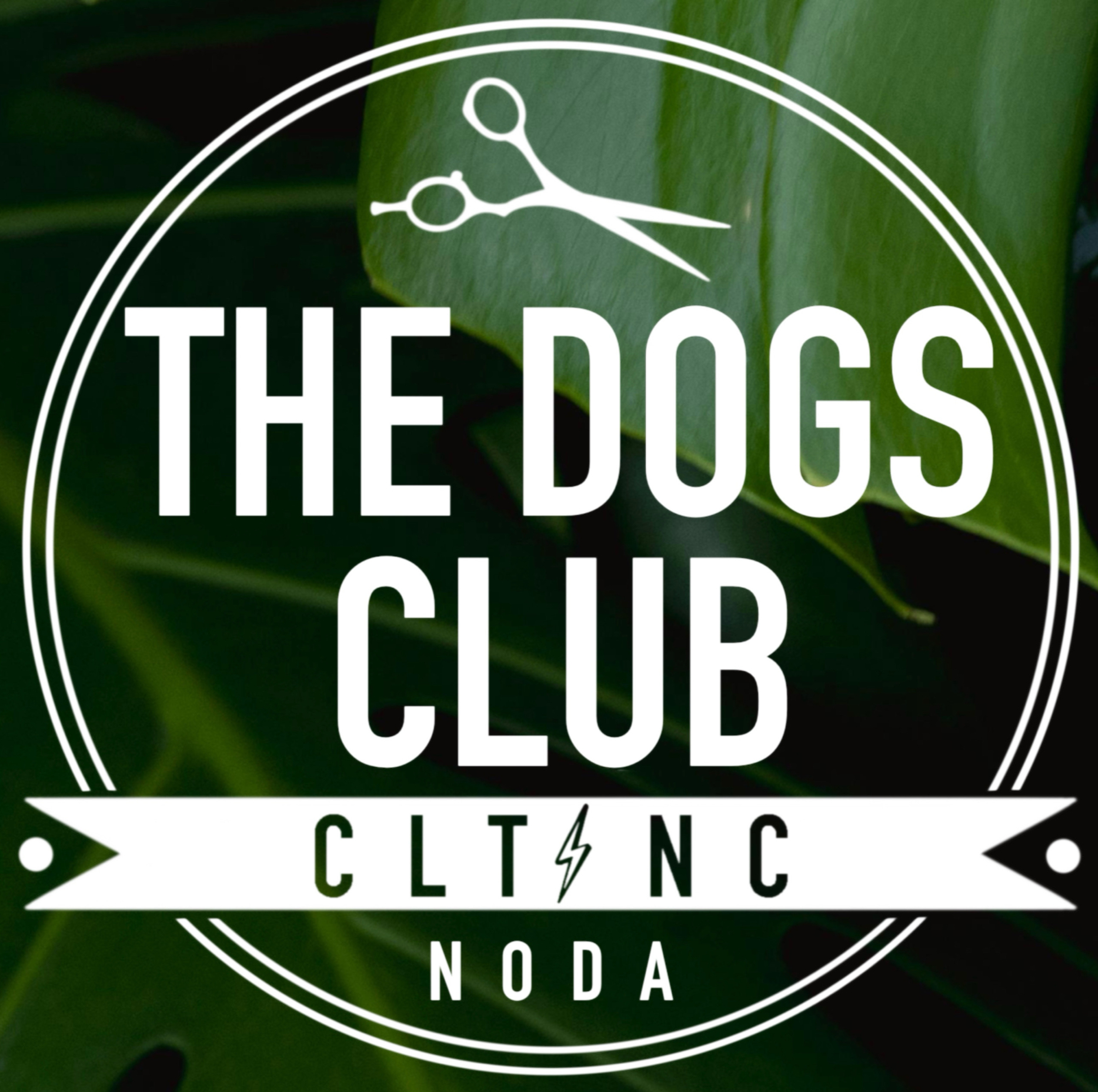 The Dogs Club CLT