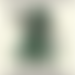 Chibamba (DnD 5ª ed) - Bestiário Tropical pag. 019